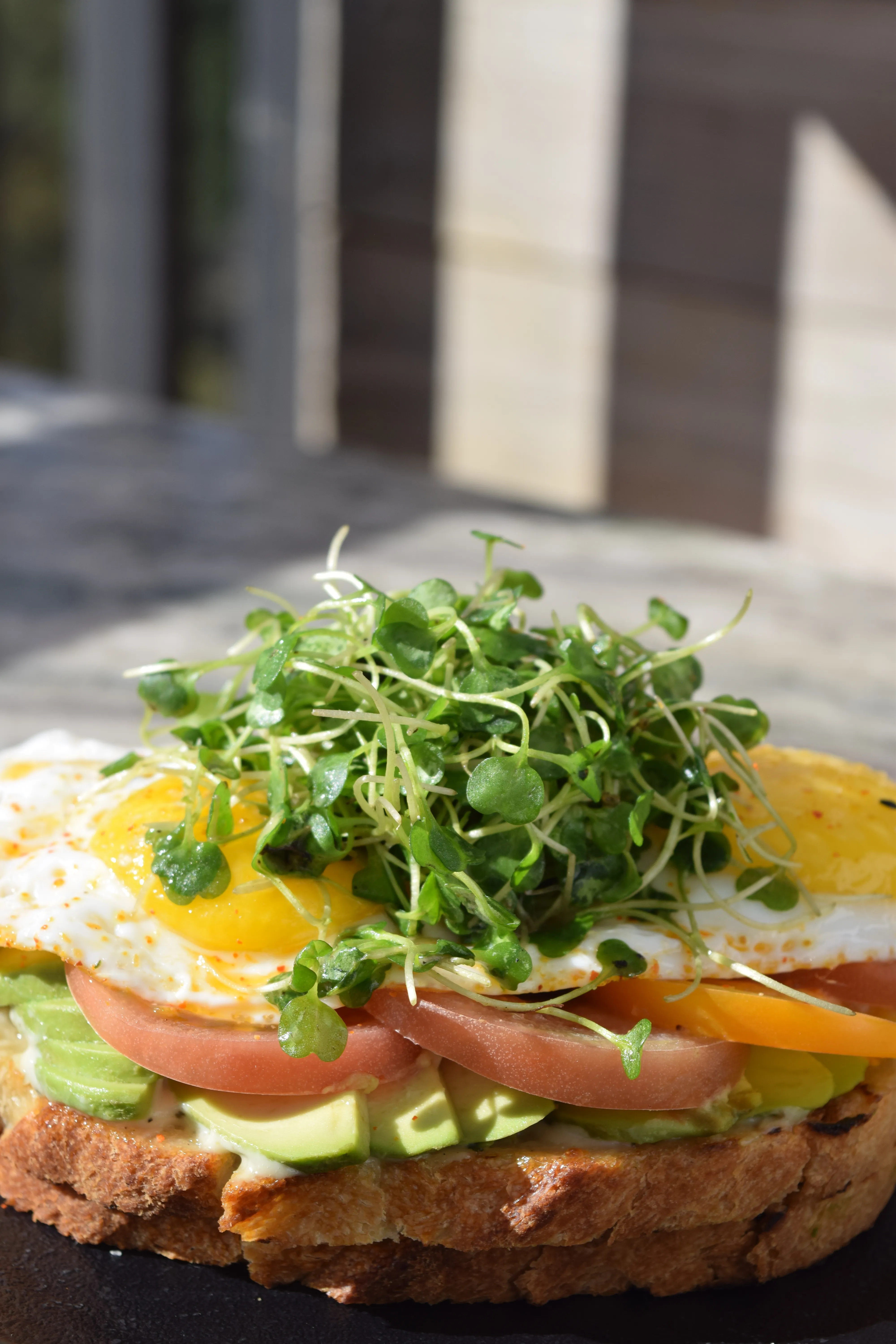Avocado toast with fried egg, heirloom tomatoes and microgreens on sourdough