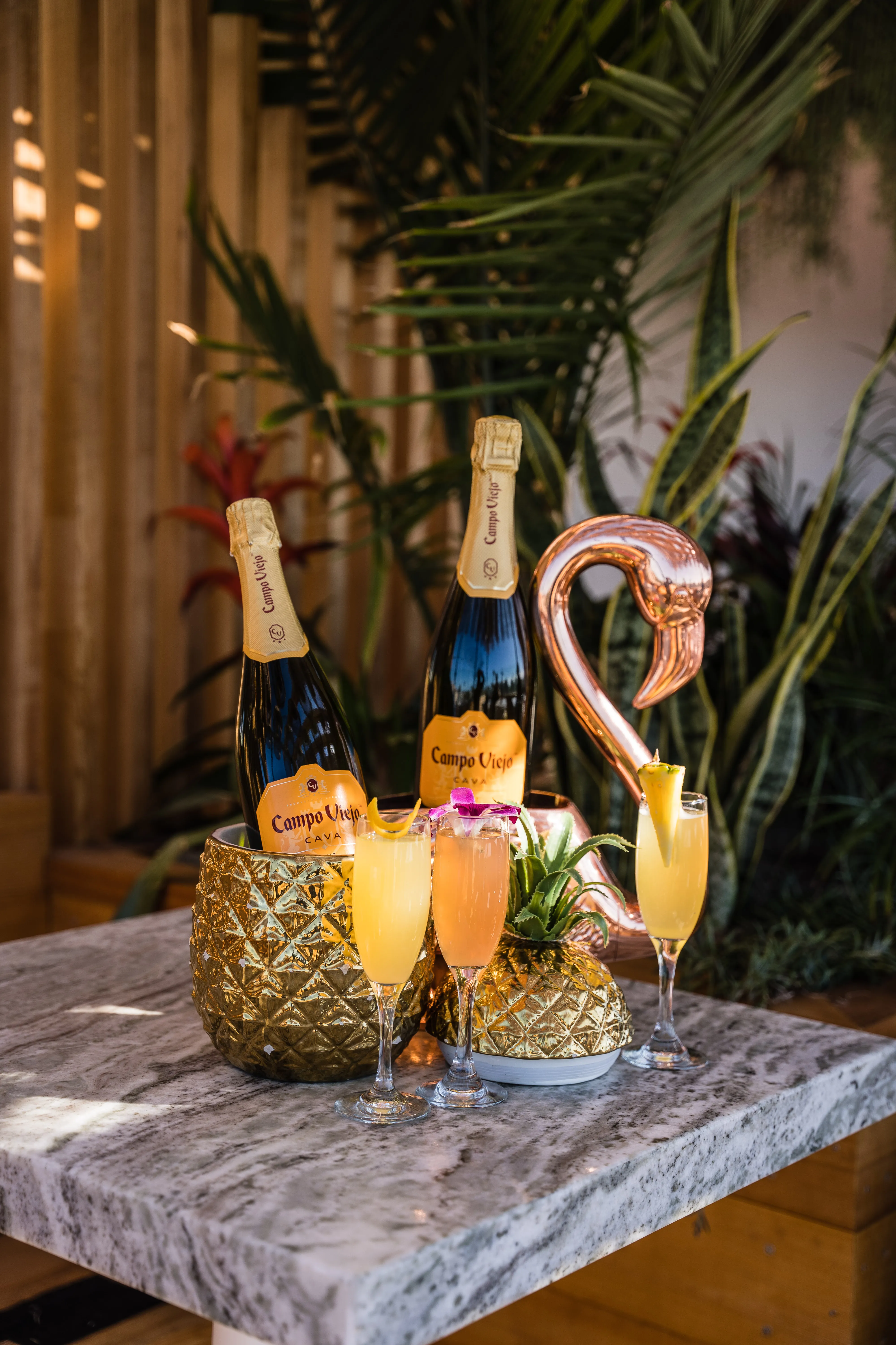 Campo Viejo cava bottles with mimosa flight on marble table with flamingo and tropical plants