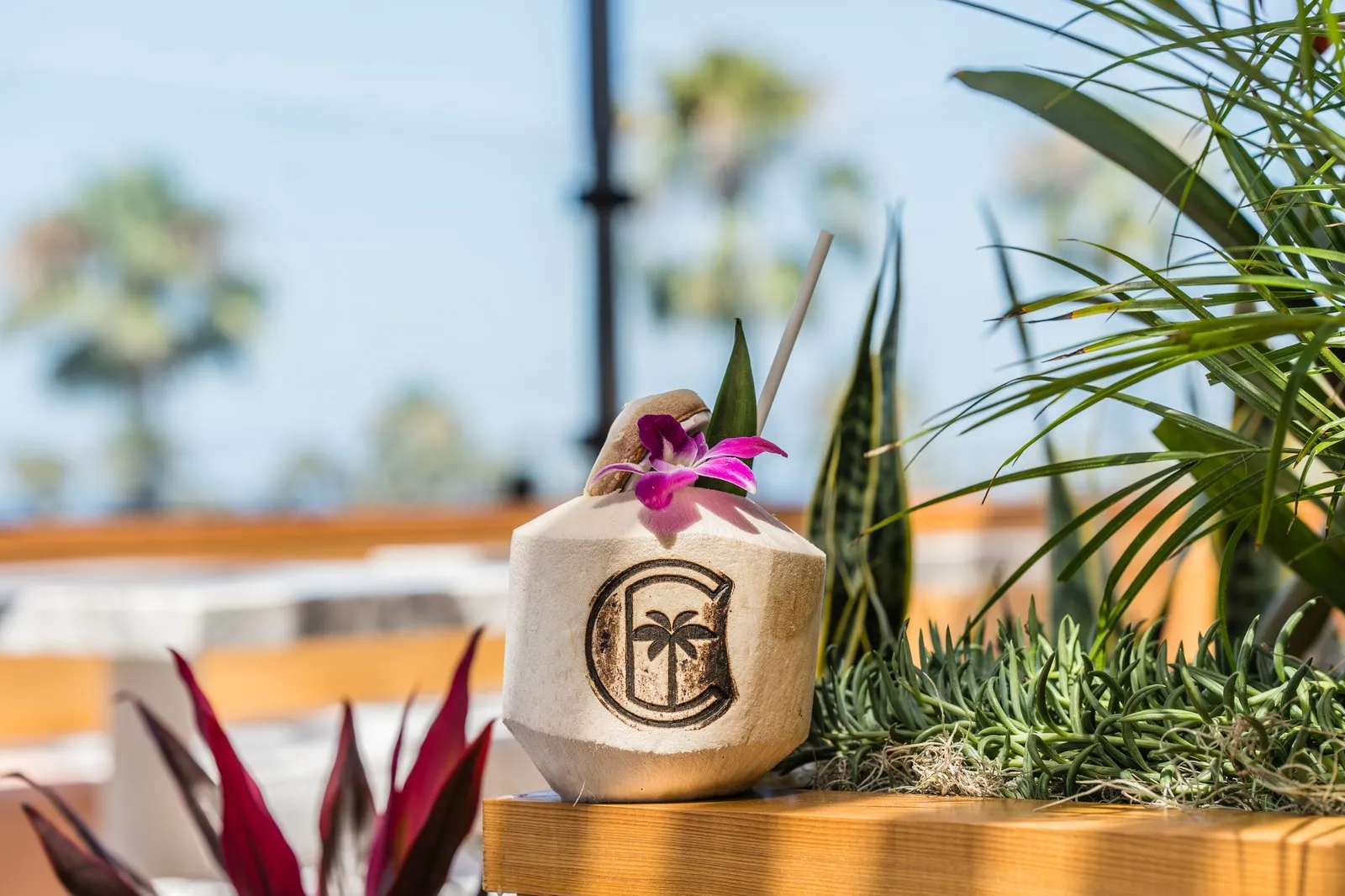 Caribe Welcome cocktail in a coconut with orchid garnish